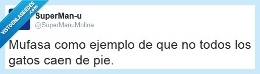 mufasa,el rey león,gato,caer de pie,ejemplo