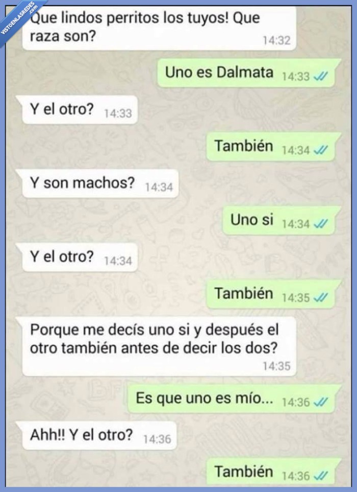 dalmata,perro,uno,el otro,tambien,los dos