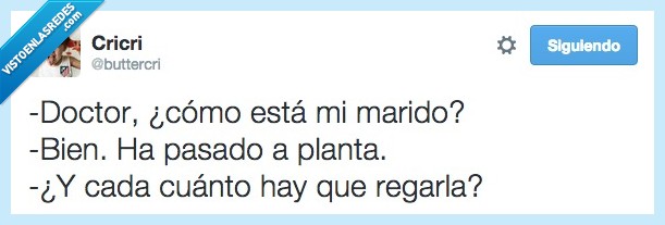 doctor,marido,planta,regar,cada,cuanto