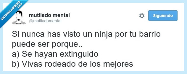 ninjas,extinguidos,japon,camuflaje,esconder,escondido,mejor,invisible