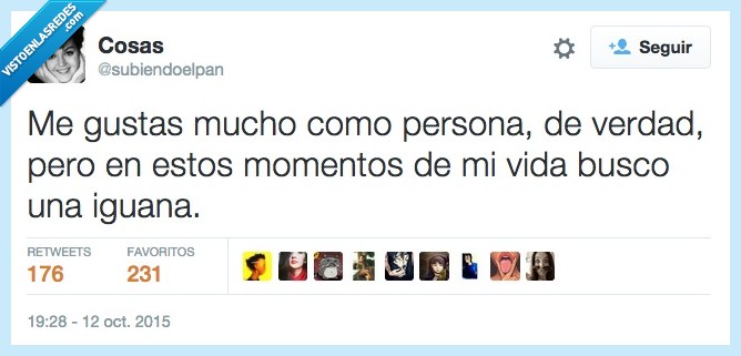 me gustas,mucho,amor,persona,momento,vida,buscar,iguana