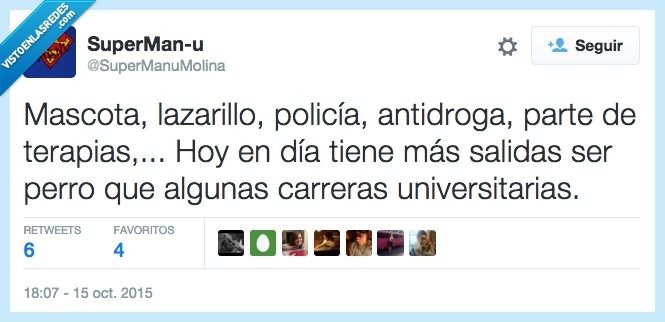 perro,policía,antidroga,terapia,mascota,lazarillo,trabajos,salidas laborales,carrera,universidad