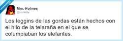 Enlace a Un hilo especial... Por @cunetita