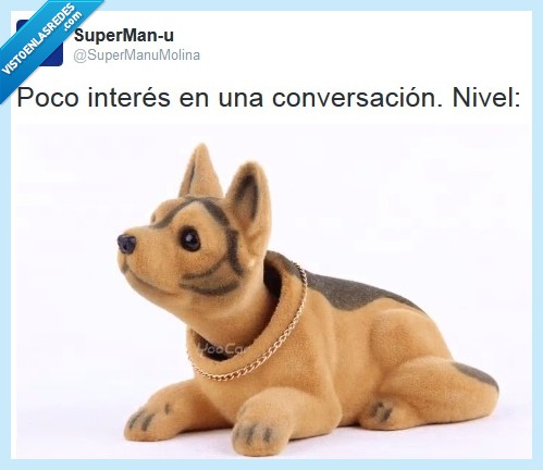 conversación,poco,interés,nivel,perrito muñeco mvoer cabeza coche