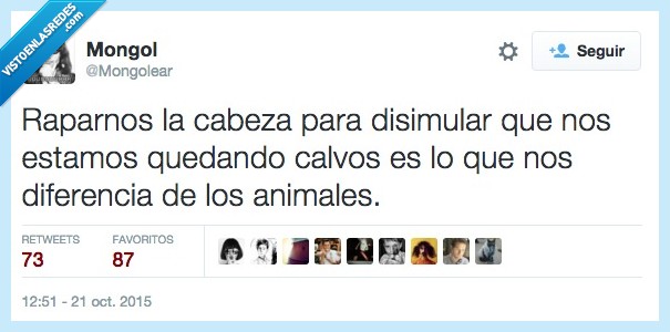 rapar,cabeza,quedando,quedar,calvo,diferencia,animales,monos,humanos