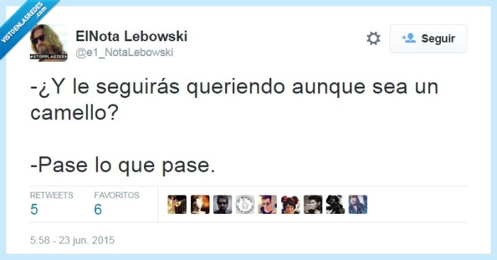 amor,incondicional,camello,pasar,droga,pase lo que pase