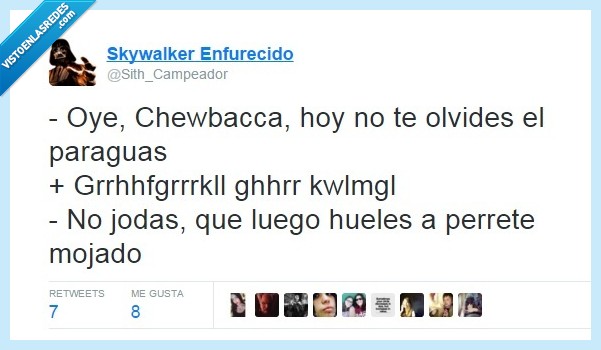 chewbacca,lluvia,paraguas,mojarse,perrete mojado,oler,perro