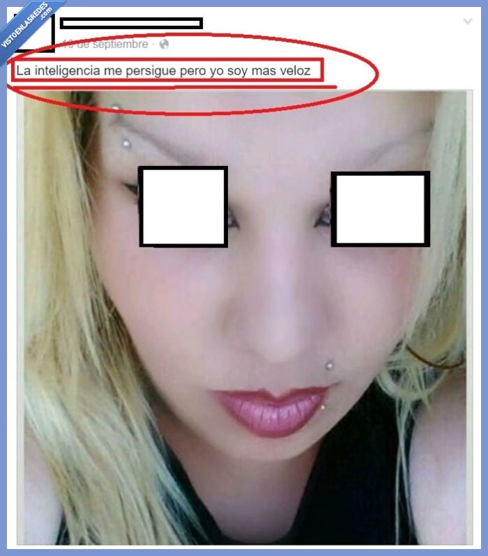 choni,inteligencia,veloz,rapida,persigue,perseguir