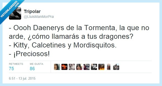 Daenerys,juego de tronos,dragones,nombre,kitty,calcetines,gato,mordisquitos,preciosos