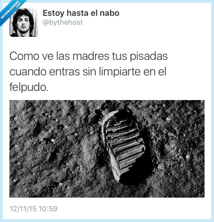 429886 - Las mejores rastreadoras de la galaxia por @bythehost