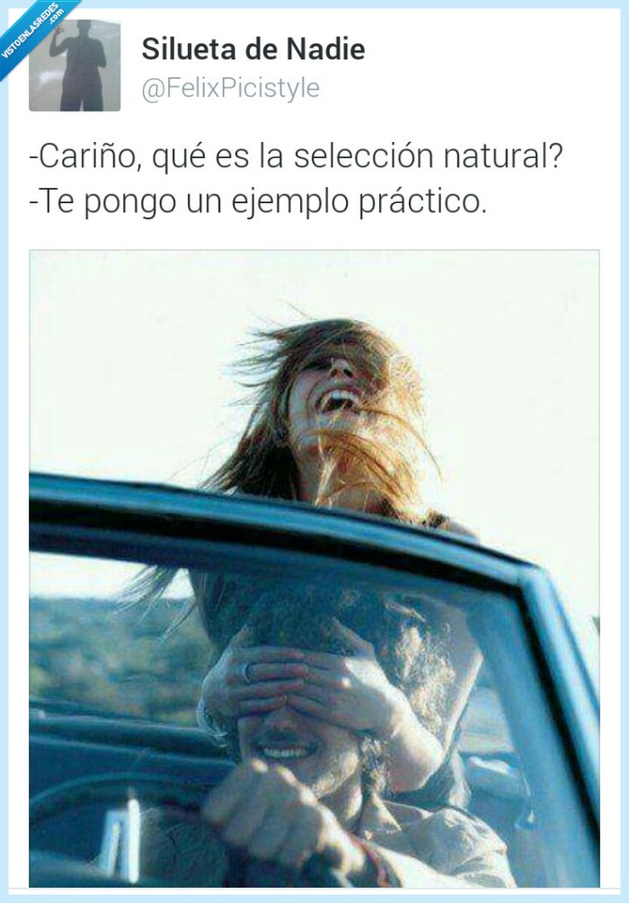 sleccion,natural,hombre,mujer,pareja,tapar,ojos,mirar,coche,peligro,accidente,ejemplo,morir