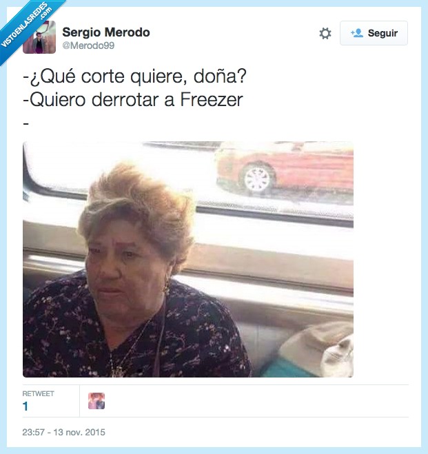 Dragon Ball Z,Freezer,Vieja,Anciana,Doña,señora,pelo,peinado,saiyan,guerrero