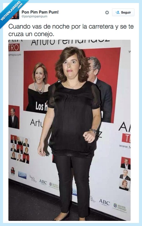 Soraya Saez de Santamaría,liebre,cruzar,noche,cara,susto,carretera,luces