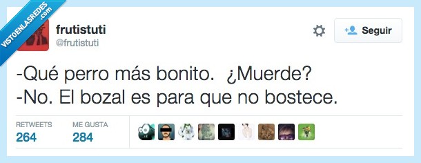 perro,bozal,morder,bostezar,muerde,bostece