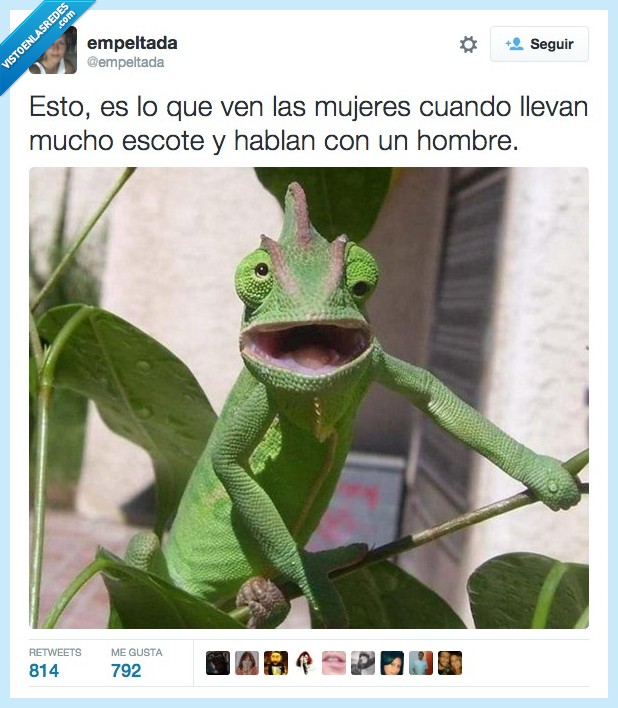 mujeres,ver,cuando,hombre,ojo,camaleon,mirada,mirar,abajo