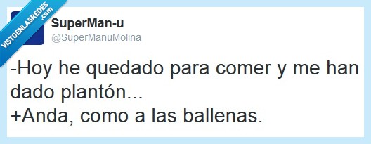 plantón,plactón,ballena,comer