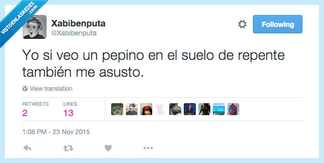 respect,gato,miedo,susto,pepino,suelo,saltar