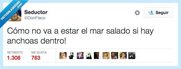 estar,mar,salado,anchoas,dentro,sal