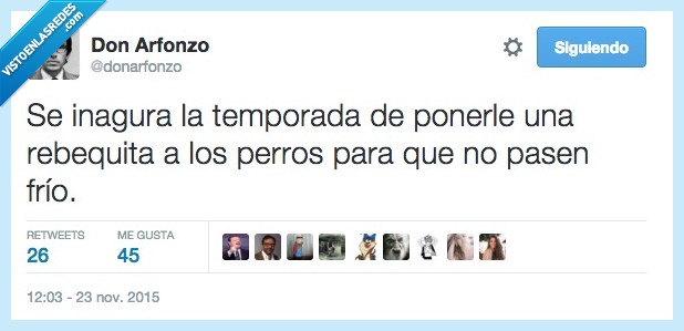 temporada,perro,poner,rebequita,chaqueta,perrete,frio,abrigar