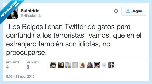 Belgica,gato,twitter,confundir,terrorista,extranjero,fuera,tontos,preocupar
