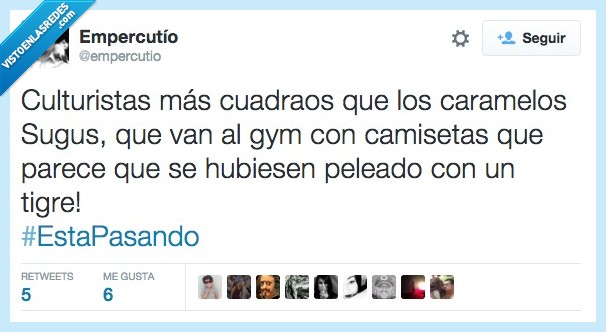 culturista,cuadrao,caramelo,sugus,gym,camiseta,peleado,tigre,rota,agujero,Didac