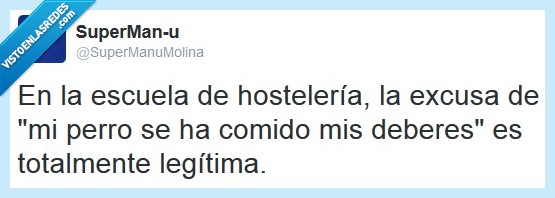 hostelería,escuela,perro,comer,deberes,legal