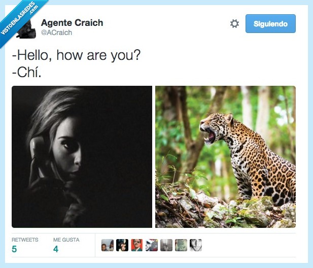 hello,Adele,how are you,Jaguar,chi