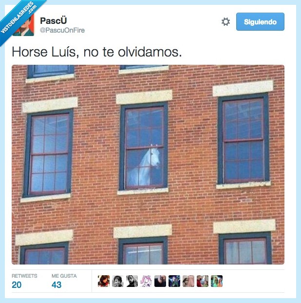 Horse Luis,caballo,no te olvidamos