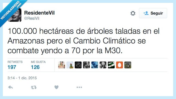 hectarea,selva,amazonica,amazonas,cambio,climatico,conducir,m30,70,talar