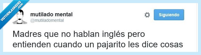 madre,pajaro,lengaje,ingles,secretos