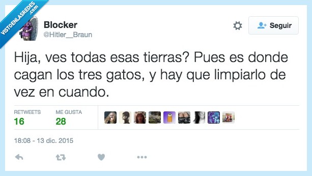 tierras,hija,gato,arena,limpiar,de vez en cuando