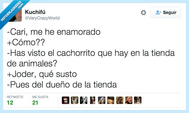 cari,cariño,amor,pareja,enamorado,tienda,animales,dueño,cachorrito,susto