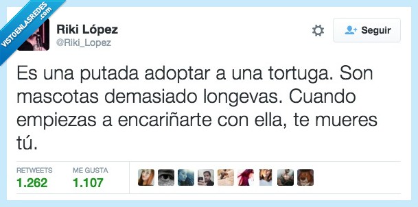 malo,adoptar,tortuga,pillar,cariño,encariñar,mueres,morir,tu