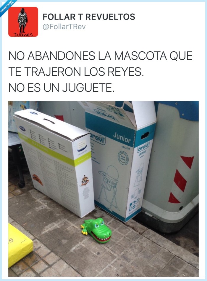 cocodrilo,sacamelas,juguete,reyes,tirar,basura,mascota,jugar