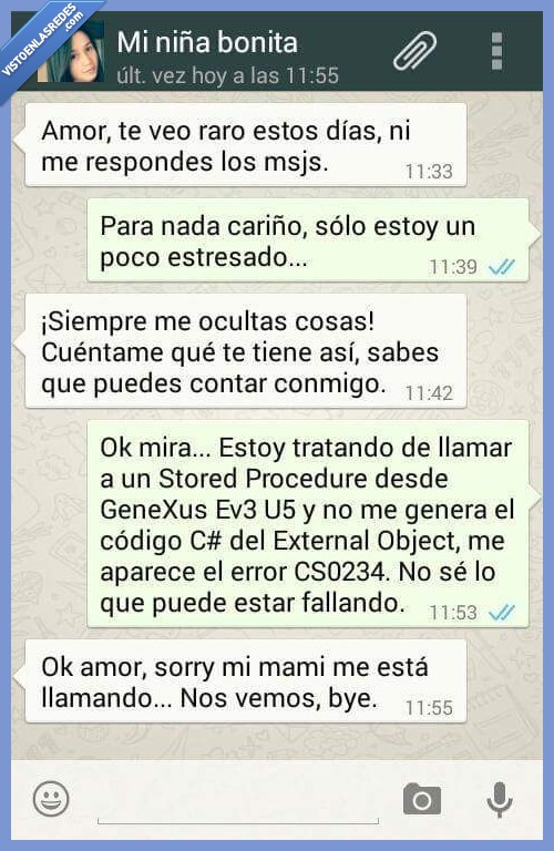 conversación,whatsapp,problema,novia,informático