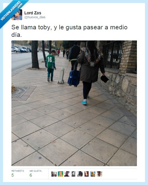 toby,paseo,diario,pipí,divertido,perrito,estufa,pasear,sacar a pasear,ladrar