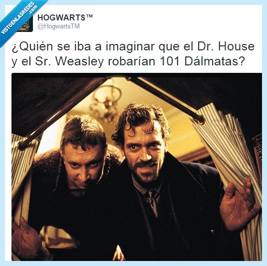 house,doctor,weasley,padre,ron,harry potter,robar,dalmatas