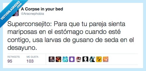 romance,mariposas,estómago,consejo,larva,superconsejito,gusano,seda