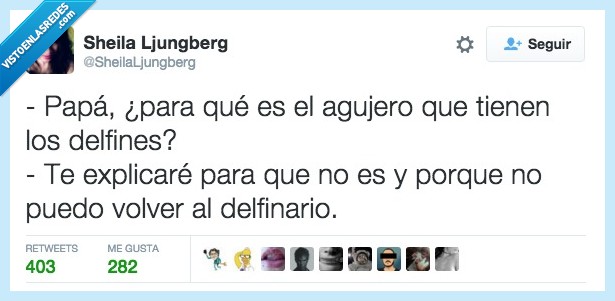 papa,agujero,delfines,explicar,delfinario,volver,banear,utilidad