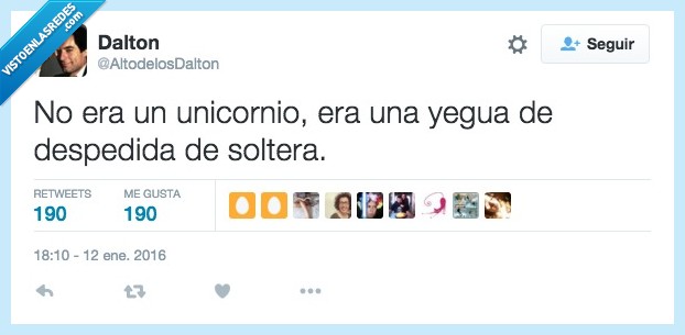 unicornio,yegua,despedida,soltera