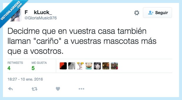 cariño,mascotas,amor,antes,vosotros,padres,hijo,perro,gato