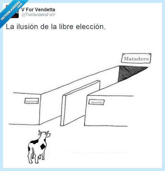 libertad,libre,elección,vida,política,pueblo,gente,foto,twitter