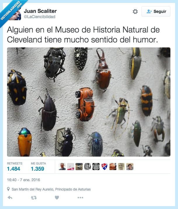 museo,historia,natural,Cleveland,sentido,humor,coche,Beatle,bicho,muestra