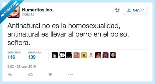 señora,antinatural,matrimonio,homo,gay,llevar,perro,bolso
