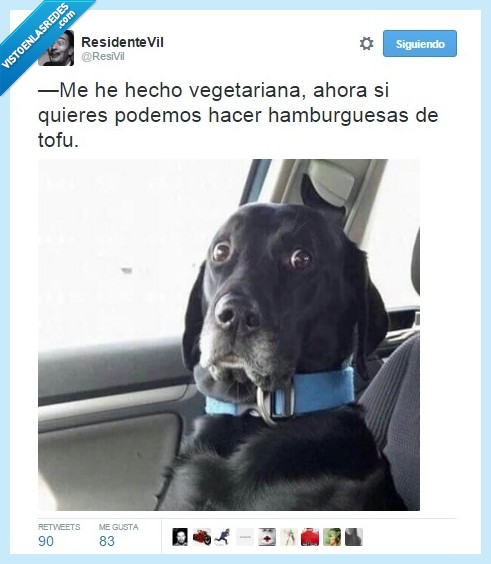 vegetariana,tofu,susto,no me digas,perro
