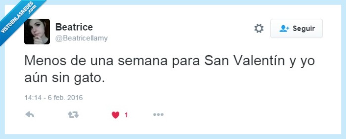 gato,san valentin,fail,gatetes