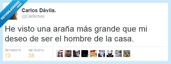 araña,miedo,casa,hombre