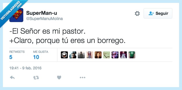 pastor,señor,religión,borregos