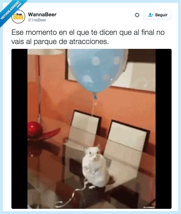 Parque de Atracciones,Chinchilla,Decepción,pena,soltar,globo,dejar,triste