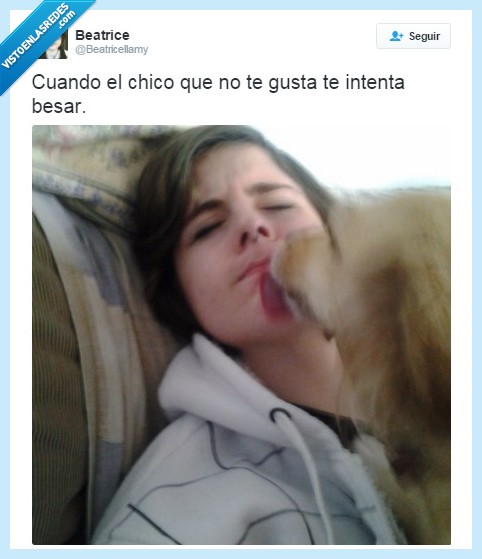 beatricellamy,twitter,beso,friendzone,gusta,perro,lengua,cobra